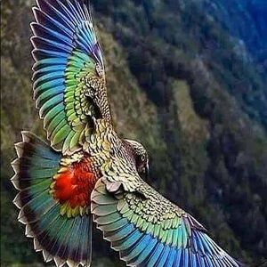 Meet your Posher, Steven